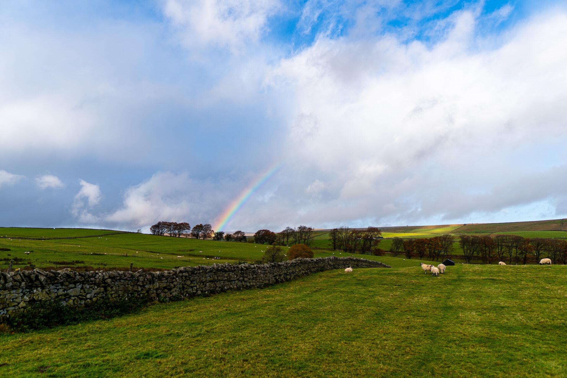 Area image of West Yorkshire