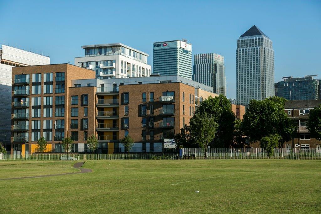 Development image of Fizzy Poplar, E14